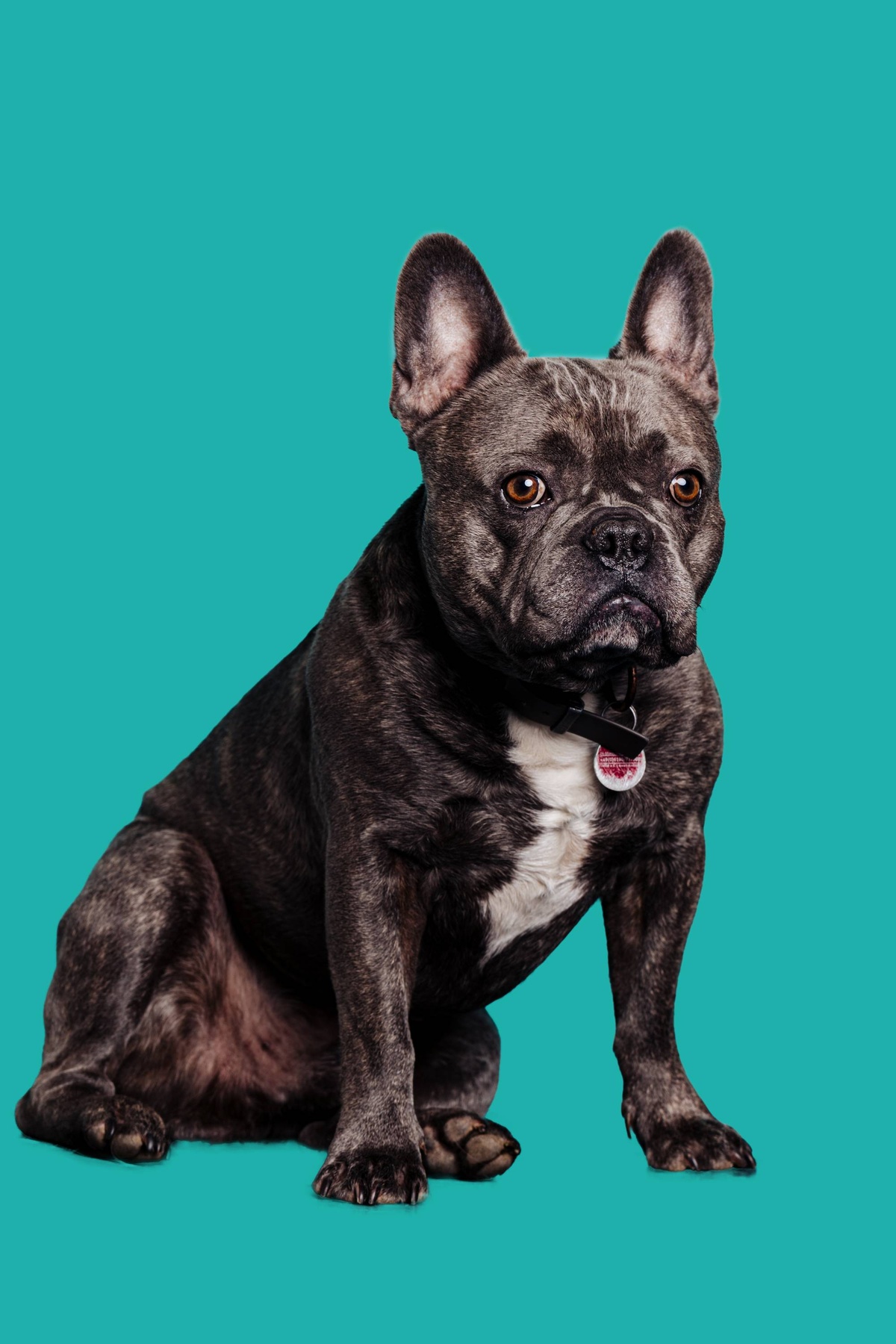 Bild aus der Kanzlei