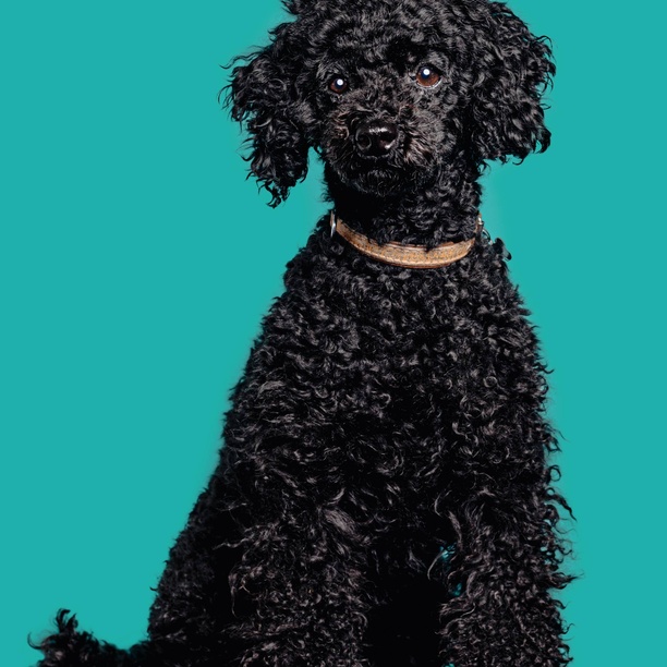 Bild aus der Kanzlei